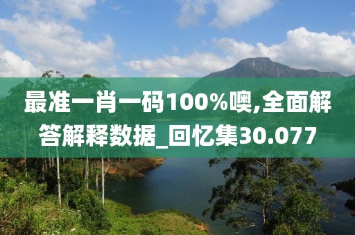 最准一肖一码100%噢,全面解答解释数据_回忆集30.077