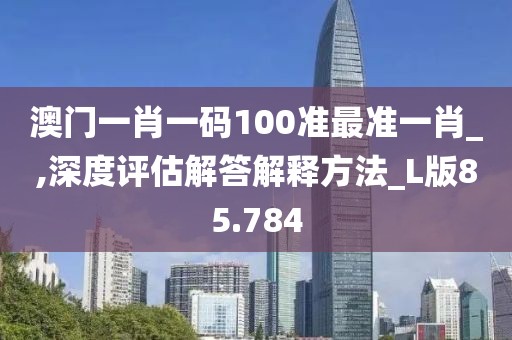澳门一肖一码100准最准一肖_,深度评估解答解释方法_L版85.784