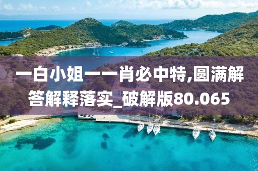 一白小姐一一肖必中特,圆满解答解释落实_破解版80.065