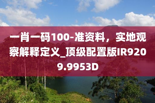 一肖一码100-准资料，实地观察解释定义_顶级配置版IR9209.9953D