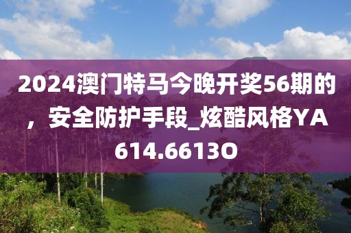 2024澳门特马今晚开奖56期的，安全防护手段_炫酷风格YA614.6613O
