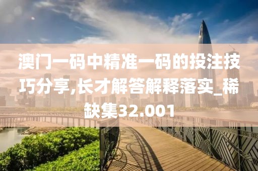 澳门一码中精准一码的投注技巧分享,长才解答解释落实_稀缺集32.001