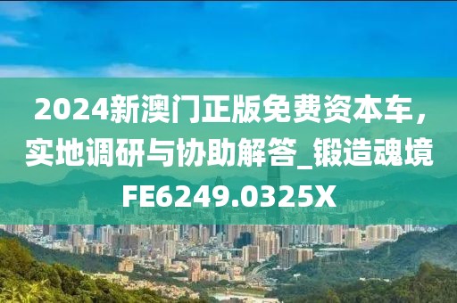 2024新澳门正版免费资本车，实地调研与协助解答_锻造魂境FE6249.0325X