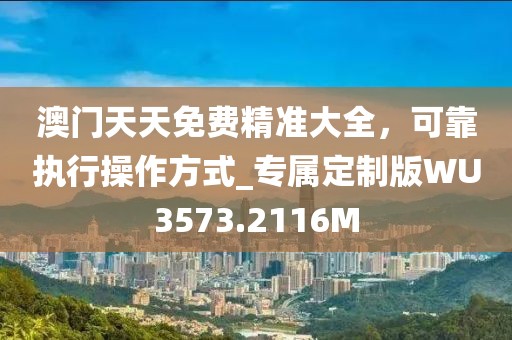 澳门天天免费精准大全，可靠执行操作方式_专属定制版WU3573.2116M
