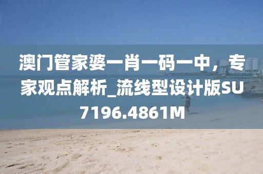 澳门管家婆一肖一码一中，专家观点解析_流线型设计版SU7196.4861M