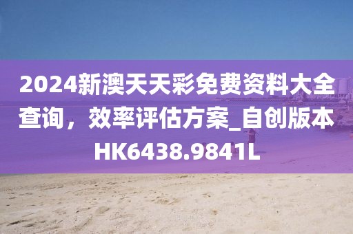 2024新澳天天彩免费资料大全查询，效率评估方案_自创版本HK6438.9841L