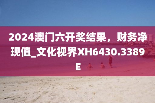 2024澳门六开奖结果，财务净现值_文化视界XH6430.3389E