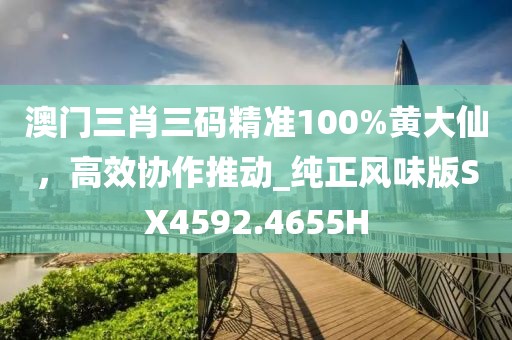澳门三肖三码精准100%黄大仙，高效协作推动_纯正风味版SX4592.4655H