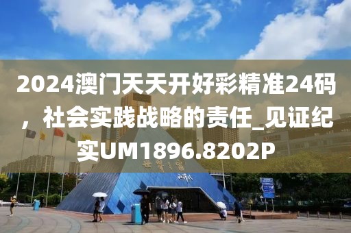 2024澳门天天开好彩精准24码，社会实践战略的责任_见证纪实UM1896.8202P