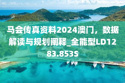 马会传真资料2024澳门，数据解读与规划阐释_全能型LD1283.853S