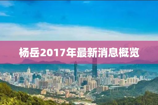 杨岳2017年最新消息概览