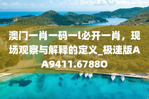 澳门一肖一码一l必开一肖，现场观察与解释的定义_极速版AA9411.6788O