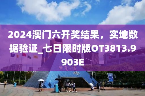 2024澳门六开奖结果，实地数据验证_七日限时版OT3813.9903E