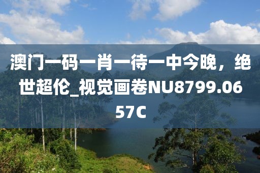 澳门一码一肖一待一中今晚，绝世超伦_视觉画卷NU8799.0657C