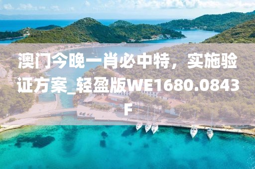 澳门今晚一肖必中特，实施验证方案_轻盈版WE1680.0843F