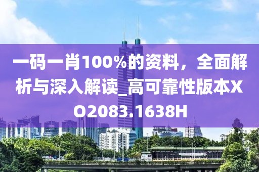 一码一肖100%的资料，全面解析与深入解读_高可靠性版本XO2083.1638H