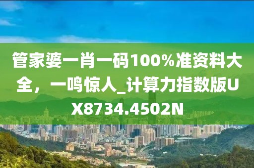 管家婆一肖一码100%准资料大全，一鸣惊人_计算力指数版UX8734.4502N