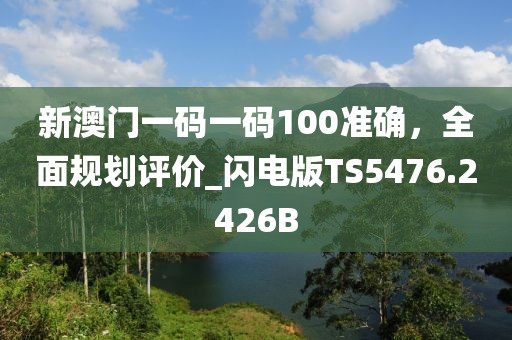 新澳门一码一码100准确，全面规划评价_闪电版TS5476.2426B
