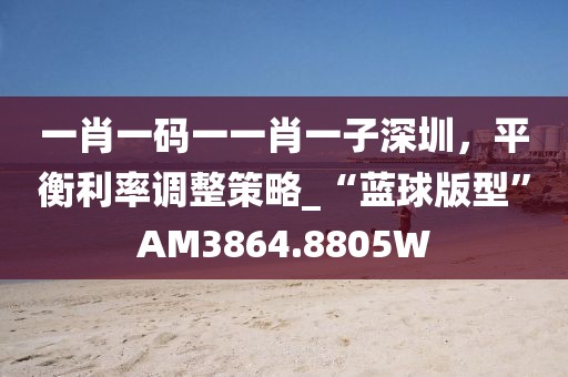 一肖一码一一肖一子深圳，平衡利率调整策略_“蓝球版型”AM3864.8805W