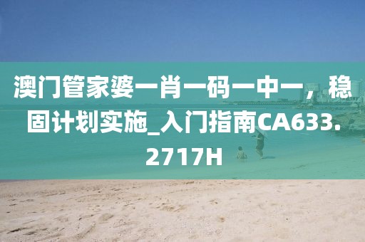 澳门管家婆一肖一码一中一，稳固计划实施_入门指南CA633.2717H