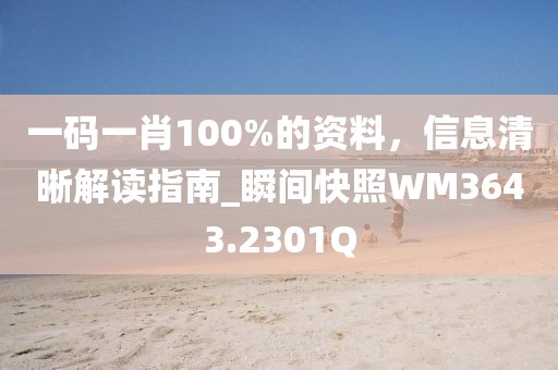 一码一肖100%的资料，信息清晰解读指南_瞬间快照WM3643.2301Q