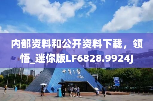 内部资料和公开资料下载，领悟_迷你版LF6828.9924J