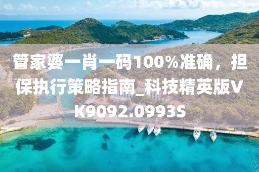 管家婆一肖一码100%准确，担保执行策略指南_科技精英版VK9092.0993S