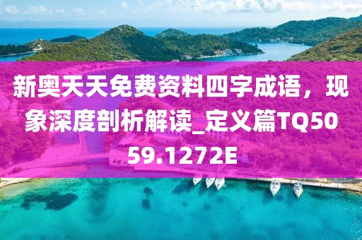 新奥天天免费资料四字成语，现象深度剖析解读_定义篇TQ5059.1272E
