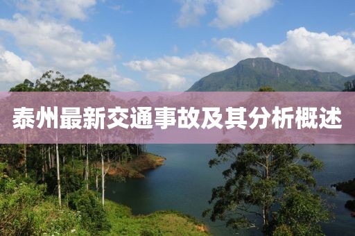泰州最新交通事故及其分析概述