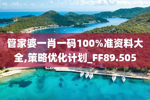 管家婆一肖一码100%准资料大全,策略优化计划_FF89.505