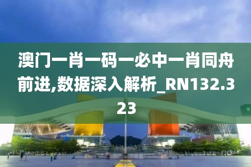 澳门一肖一码一必中一肖同舟前进,数据深入解析_RN132.323