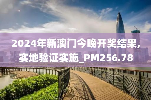 2024年新澳门今晚开奖结果,实地验证实施_PM256.78