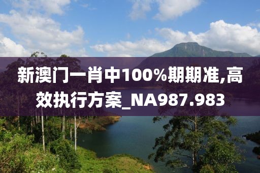 新澳门一肖中100%期期准,高效执行方案_NA987.983