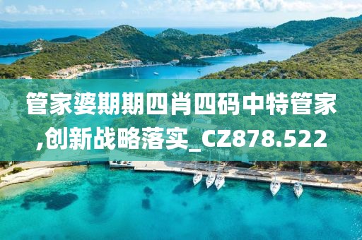 管家婆期期四肖四码中特管家,创新战略落实_CZ878.522