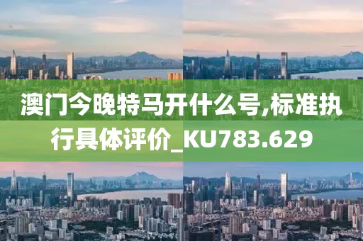 澳门今晚特马开什么号,标准执行具体评价_KU783.629