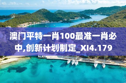 澳门平特一肖100最准一肖必中,创新计划制定_XI4.179