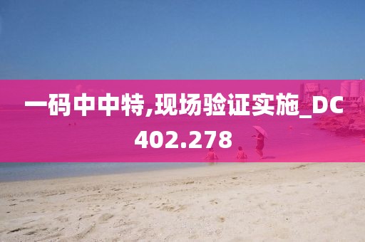 一码中中特,现场验证实施_DC402.278