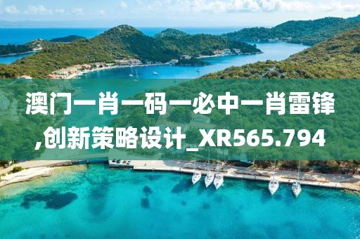 澳门一肖一码一必中一肖雷锋,创新策略设计_XR565.794