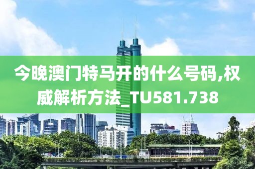 今晚澳门特马开的什么号码,权威解析方法_TU581.738