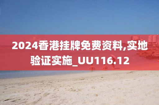 2024香港挂牌免费资料,实地验证实施_UU116.12