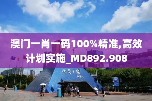 澳门一肖一码100%精准,高效计划实施_MD892.908