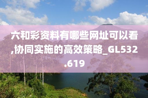 六和彩资料有哪些网址可以看,协同实施的高效策略_GL532.619