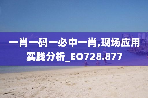 一肖一码一必中一肖,现场应用实践分析_EO728.877