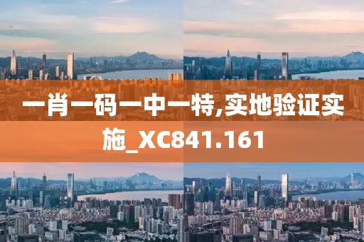 一肖一码一中一特,实地验证实施_XC841.161
