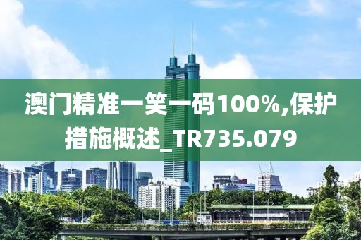 澳门精准一笑一码100%,保护措施概述_TR735.079
