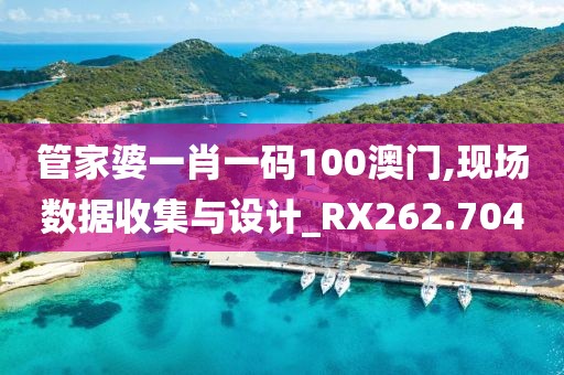 管家婆一肖一码100澳门,现场数据收集与设计_RX262.704