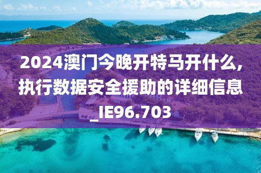 2024澳门今晚开特马开什么,执行数据安全援助的详细信息_IE96.703