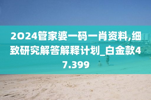 2O24管家婆一码一肖资料,细致研究解答解释计划_白金款47.399