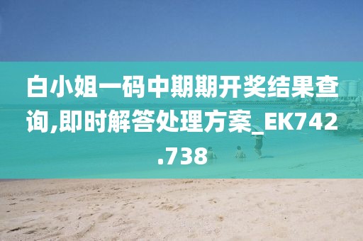 白小姐一码中期期开奖结果查询,即时解答处理方案_EK742.738