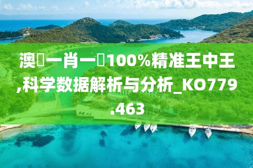 澳門一肖一碼100%精准王中王,科学数据解析与分析_KO779.463